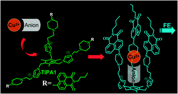 Graphical abstract: A turn-on fluorescent chemosensor for selective responses of copper(ii) ion pairs