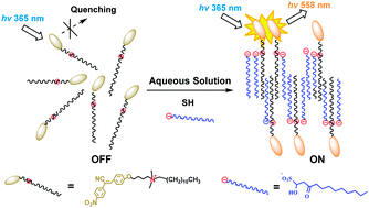 Graphical abstract: Quantitative and highly selective sensing of sodium houttuyfonate via long-aliphatic chains hydrophobic assembly and aggregation-induced emission