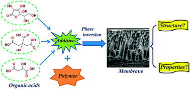 Graphical abstract: Probing the morphology and anti-organic fouling behaviour of a polyetherimide membrane modified with hydrophilic organic acids as additives
