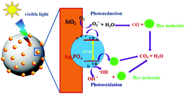 Graphical abstract: Ag3PO4 nanoparticle decorated on SiO2 spheres for efficient visible light photocatalysis