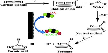 Graphical abstract: Electrochemical reduction of CO2 to HCOOH using zinc and cobalt oxide as electrocatalysts