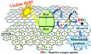 Graphical abstract: Biogenic synthesis of a Ag–graphene nanocomposite with efficient photocatalytic degradation, electrical conductivity and photoelectrochemical performance