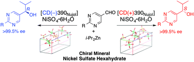 Graphical abstract: Asymmetric induction by retgersite, nickel sulfate hexahydrate, in conjunction with asymmetric autocatalysis