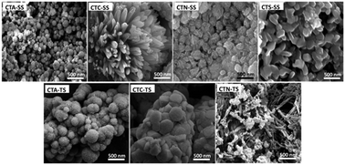 Graphical abstract: Effect of anions on the morphology of CdS nanoparticles prepared via thermal decomposition of different cadmium thiourea complexes in a solvent and in the solid state