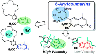 Graphical abstract: 6-Arylcoumarins: versatile scaffolds for fluorescent sensors