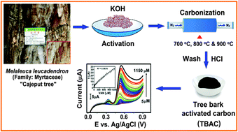 Graphical abstract: Cajeput tree bark derived activated carbon for the practical electrochemical detection of vanillin