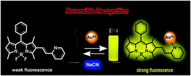 Graphical abstract: A BODIPY/pyridine conjugate for reversible fluorescence detection of gold(iii) ions