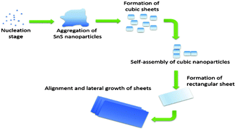 Graphical abstract: Phase-pure fabrication and shape evolution studies of SnS nanosheets