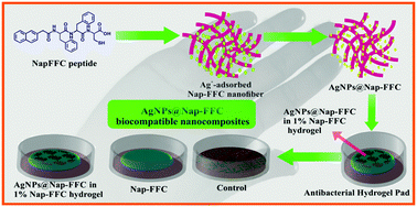 Graphical abstract: Facile synthesis of a biocompatible silver nanoparticle derived tripeptide supramolecular hydrogel for antibacterial wound dressings