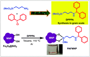 Graphical abstract: Phosphanamine-functionalized magnetic nanoparticles (PAFMNP): an efficient magnetic recyclable ligand for the Pd-catalyzed Heck reaction of chloroarenes
