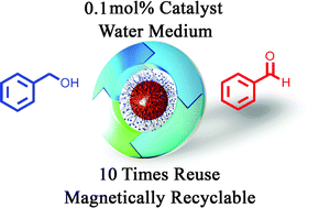 Graphical abstract: Highly dispersible and magnetically recyclable poly(1-vinyl imidazole) brush coated magnetic nanoparticles: an effective support for the immobilization of palladium nanoparticles