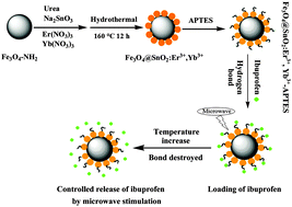 Graphical abstract: Development of a Fe3O4@SnO2:Er3+,Yb3+–APTES nanocarrier for microwave-triggered controllable drug release, and the study of the loading and release mechanisms using microcalorimetry