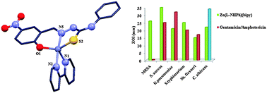 Graphical abstract: Synthesis, spectroscopy, structures and antimicrobial activity of mixed-ligand zinc(ii) complexes of 5-nitro-salicylaldehyde thiosemicarbazones