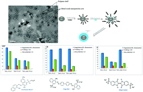 Graphical abstract: Superabsorbent enhanced-catalytic core/shell nanocomposites hydrogels for efficient water decolorization
