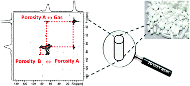 Graphical abstract: Transport properties of catalyst supports studied by pulsed field gradient (PFG) and 2D exchange (EXSY) NMR spectroscopy