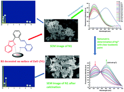 Graphical abstract: ZnO decorated with organic nanoparticles based sensor for the ratiometric selective determination of mercury ions