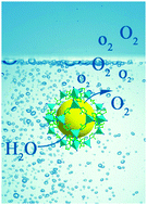 Graphical abstract: Nanoscale cobalt metal–organic framework as a catalyst for visible light-driven and electrocatalytic water oxidation