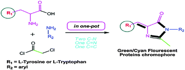 Graphical abstract: PCl3-mediated synthesis of green/cyan fluorescent protein chromophores using amino acids
