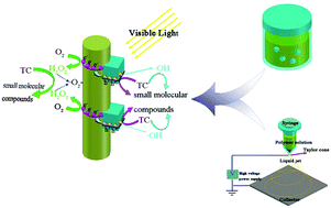 Graphical abstract: Fabrication of a visible-light-driven photocatalyst and degradation of tetracycline based on the photoinduced interfacial charge transfer of SrTiO3/Fe2O3 nanowires