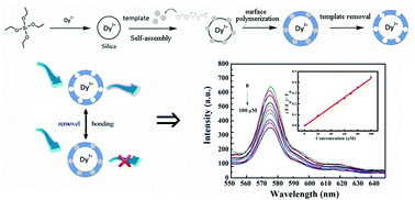 Graphical abstract: A lanthanide complex-based molecularly imprinted luminescence probe for rapid and selective determination of λ-cyhalothrin in the environment