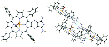 Graphical abstract: The interaction of a β-fused isoindoline–porphyrin conjugate with nucleic acids