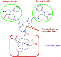 Graphical abstract: Design, synthesis and relaxation studies of triazole linked gadolinium(iii)–DO3A-BT-bistriazaspirodecanone as a potential MRI contrast agent