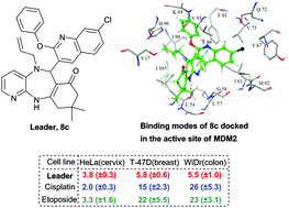 Graphical abstract: A catalyst- and solvent-free multicomponent synthesis and docking study of some new antiproliferative N5-allyl-quinolylpyrido[2,3-b][1,4]benzodiazepinone precursors