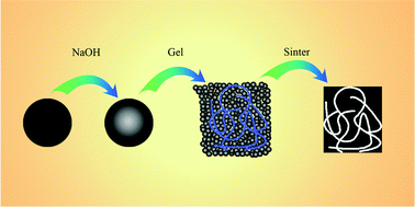 Graphical abstract: Synthesis and properties of MFI zeolites with microporous, mesoporous and macroporous hierarchical structures by a gel-casting technique