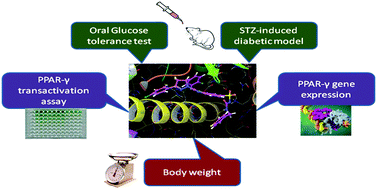 Graphical abstract: Novel benzothiazole based sulfonylureas/sulfonylthioureas: design, synthesis and evaluation of their antidiabetic potential