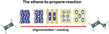 Graphical abstract: Influence of the pore architecture on the selective conversion of ethene to propene and butenes over medium pore zeolites