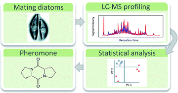 Graphical abstract: Metabolomics in chemical ecology