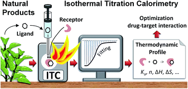 Graphical abstract: Application of isothermal titration calorimetry as a tool to study natural product interactions