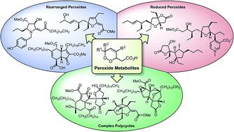 Graphical abstract: Structural diversity and chemical synthesis of peroxide and peroxide-derived polyketide metabolites from marine sponges