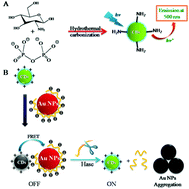 Graphical abstract: Amino-functionalized green fluorescent carbon dots as surface energy transfer biosensors for hyaluronidase