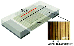 Graphical abstract: A highly sensitive pressure sensor using a double-layered graphene structure for tactile sensing