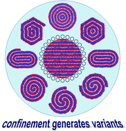 Graphical abstract: Tuning the self-assembly of surfactants by the confinement of carbon nanotube arrays: a cornucopia of lamellar phase variants