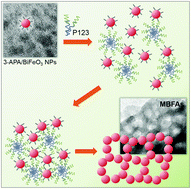 Graphical abstract: Templated assembly of BiFeO3 nanocrystals into 3D mesoporous networks for catalytic applications
