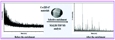 Graphical abstract: Designed synthesis of MOF-derived magnetic nanoporous carbon materials for selective enrichment of glycans for glycomics analysis