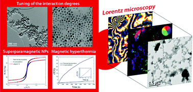 Graphical abstract: Lorentz microscopy sheds light on the role of dipolar interactions in magnetic hyperthermia