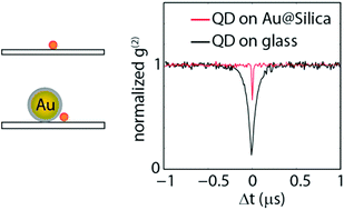 Graphical abstract: An experimental and theoretical mechanistic study of biexciton quantum yield enhancement in single quantum dots near gold nanoparticles