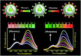 Graphical abstract: Dual-emission fluorescent sensor based on AIE organic nanoparticles and Au nanoclusters for the detection of mercury and melamine