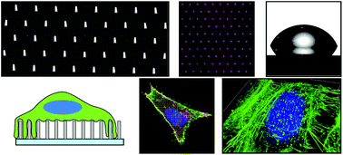 Graphical abstract: Tunable high aspect ratio polymer nanostructures for cell interfaces
