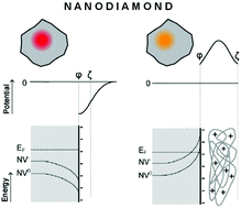 Graphical abstract: Charge-sensitive fluorescent nanosensors created from nanodiamonds