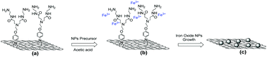 Graphical abstract: In situ growth of capping-free magnetic iron oxide nanoparticles on liquid-phase exfoliated graphene