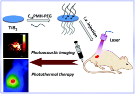 Graphical abstract: Two-dimensional TiS2 nanosheets for in vivo photoacoustic imaging and photothermal cancer therapy