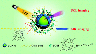 Graphical abstract: New nanoplatforms based on UCNPs linking with polyhedral oligomeric silsesquioxane (POSS) for multimodal bioimaging