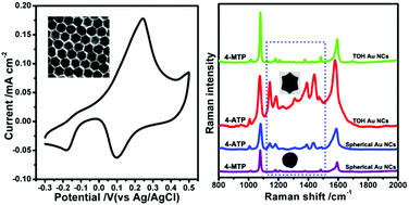 Graphical abstract: {331}-Faceted trisoctahedral gold nanocrystals: synthesis, superior electrocatalytic performance and highly efficient SERS activity