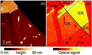 Graphical abstract: Graphene/h-BN plasmon–phonon coupling and plasmon delocalization observed by infrared nano-spectroscopy