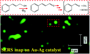 Graphical abstract: Catalytic oxidation of cinnamyl alcohol using Au–Ag nanotubes investigated by surface-enhanced Raman spectroscopy