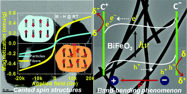 Graphical abstract: Compliments of confinements: substitution and dimension induced magnetic origin and band-bending mediated photocatalytic enhancements in Bi1−xDyxFeO3 particulate and fiber nanostructures
